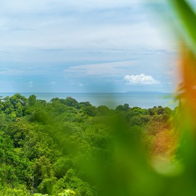 A magnificent view, perfect for gazing at the scenery and enjoying the moment.