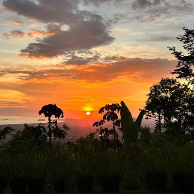Sunset views.