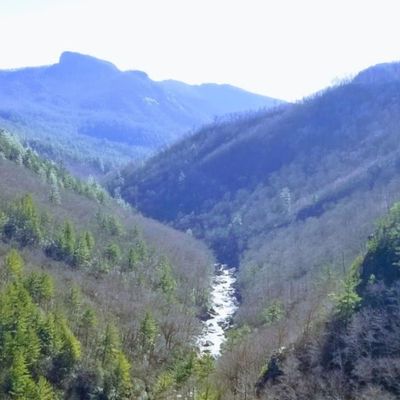 Linville Gorge from Babel Tower
