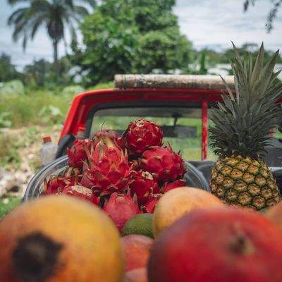 There are a great variety of fruits available in the nearby farmer markets and super-markets