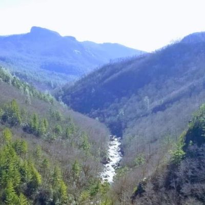 Linville Gorge from Babel Tower