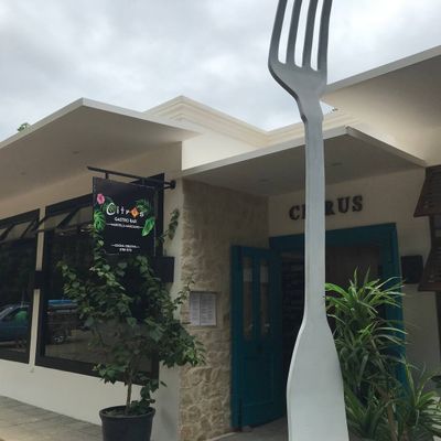 Restaurants in Ojochal are an easy 10-15 minute drive away.