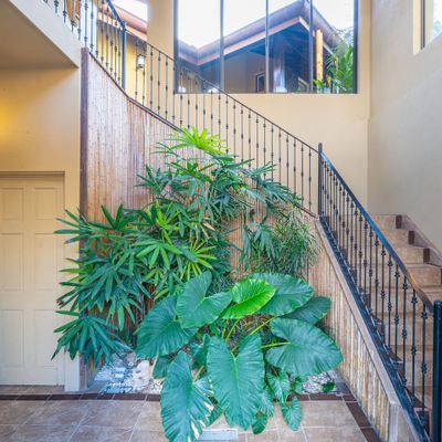 Guests are required to walk up these steps to access the home.