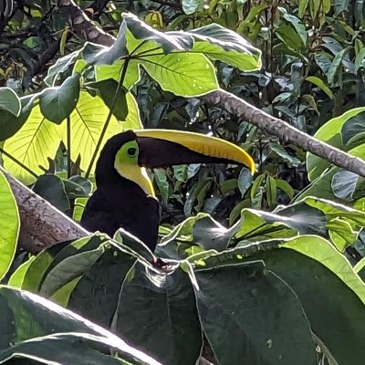 Photographed at the home.