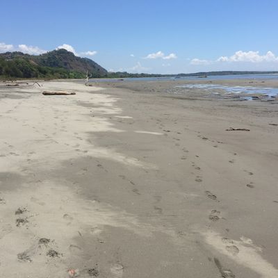 Playa Tortuga is about 5-7 minutes away.