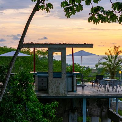 dreamy sanctuary, tucked away in nature’s beauty, with abundant plants and trees.