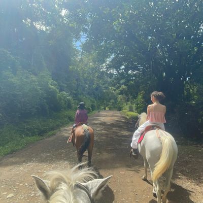 Horse back ridding tours are available in Ojochal   - you can either visit the waterfall or rid to towards the sunset at the beach