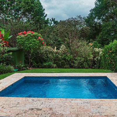 Beautifully landscaped garden with vibrant flowers and trees.