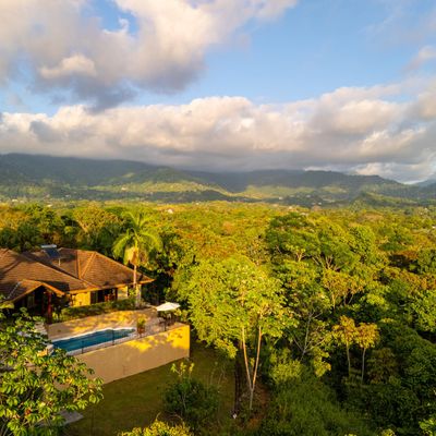 Lush, vibrant vegetation that adds a natural beauty and tranquility to the space.