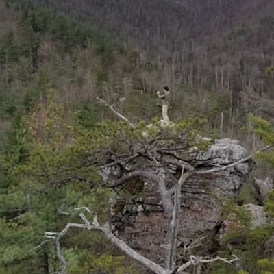 Babel Tower - about 5 miles from the Cabin!