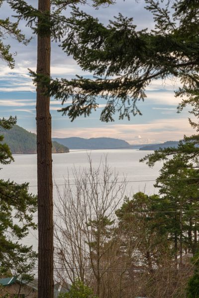 WaterView,Impeccable Studio Cottage, Walk to Town