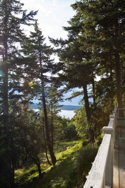 Waterview, Bright Home close to Town, Moran Park