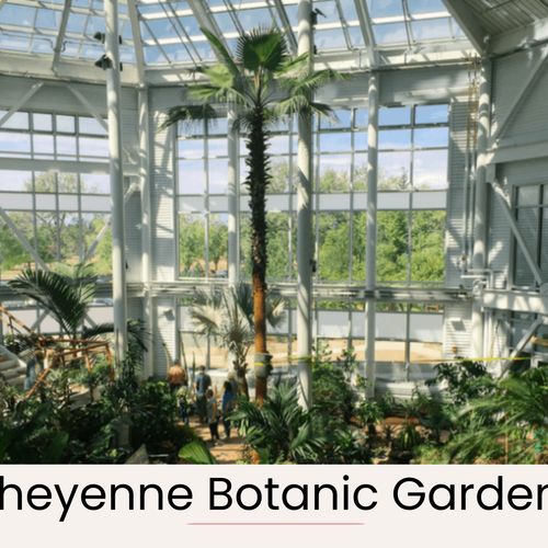 Breathe in fresh air and lush scenery at cheyenne botanic gardens.