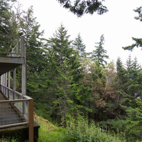 Balcony and deck overlooking the forest and water.
