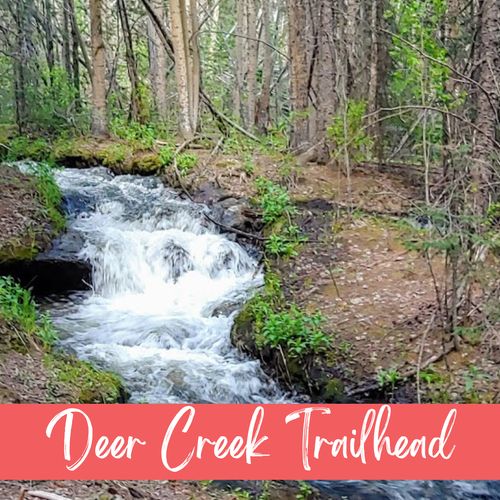 Endless hiking and river access right nearby—perfect for outdoor lovers.