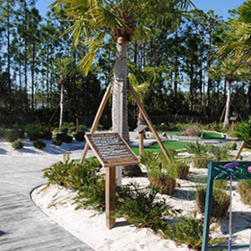 Festival Resort