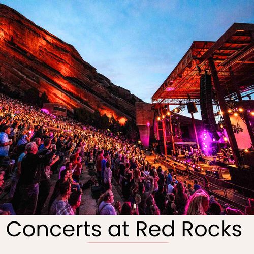 0a473952 5877 4f0a b7e5 c2392be69ab3 homerunner