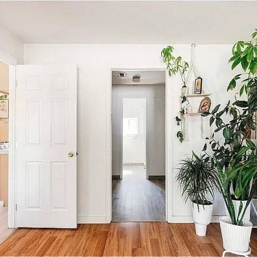 Step into a calm, plant-filled entrance where fresh air and good energy meet.