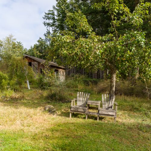 enjoy the rural, farm setting with old apple trees and seating in the field