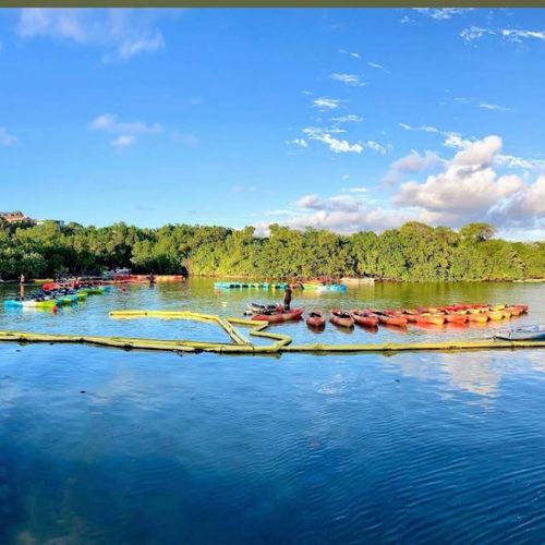 Paddle your way to adventure! Explore tranquil waters surrounded by lush mangroves, with a vibrant array of kayaks and paddleboards ready for action.