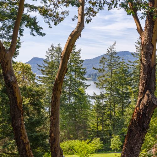 0f1e5692 6005 4a7f 8628 848cd44c7f3e homerunner