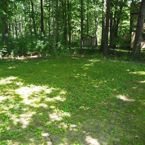 Exterior:  there's a nice grassy area in the front yard for kids to play.