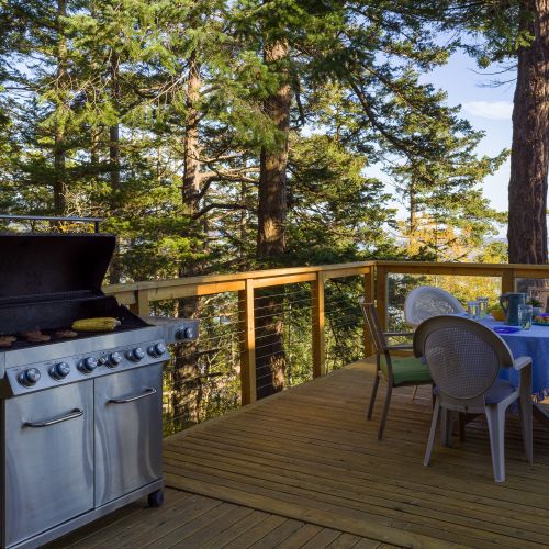 Grilling and dining with incredible views of the water and wildlife.