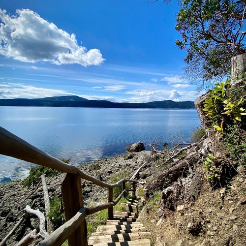 131bd65e 903c 4096 b32a cc0b61086f29 homerunner