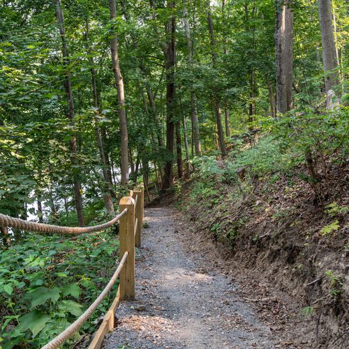 Private hiking path down to Luna Cove's Creek.