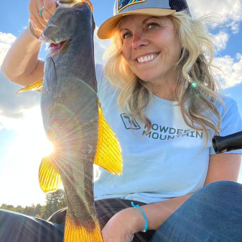 Area attractions:  fishing on manistee lake
