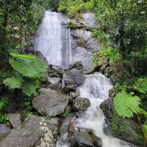 Pure bliss! Refreshing natural pool in a lush rainforest setting.