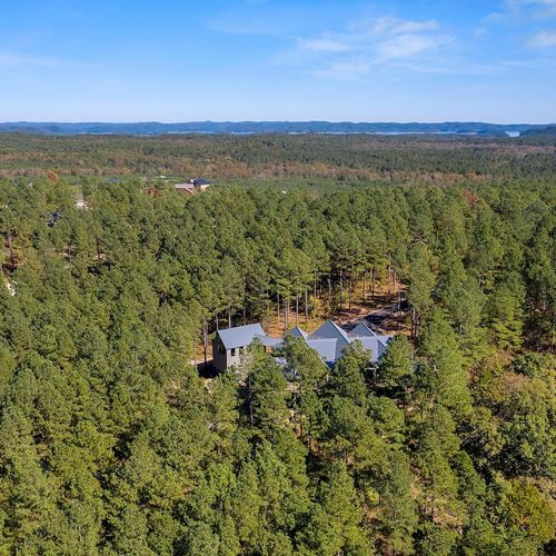 Surrounded by towering pines!