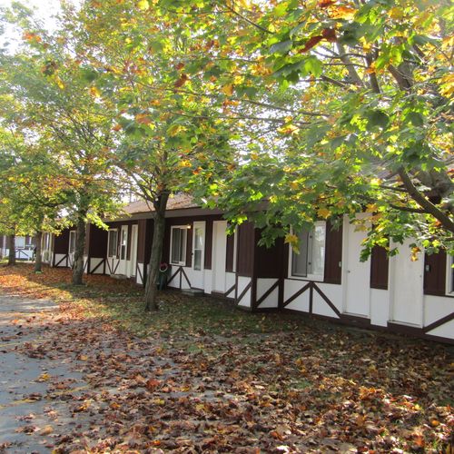 Exterior:  the grounds at the property