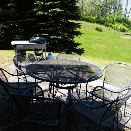 Exterior:  the outdoor dining furniture and gas grill that are next to the back porch in the backyard.