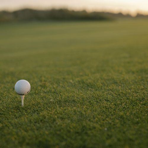 20c52bdf 5193 4f8a 8b38 7df5e438e399 homerunner