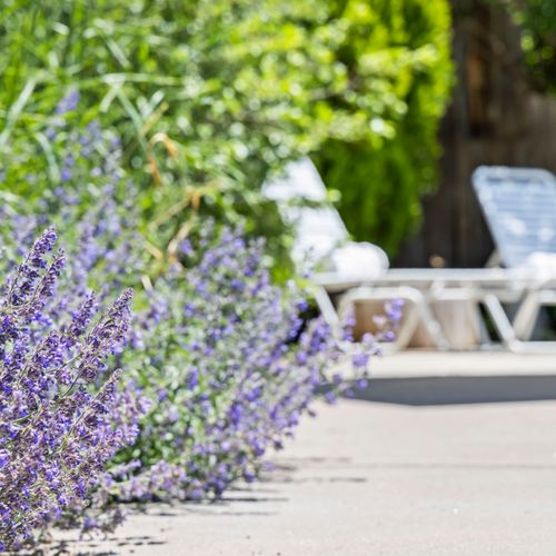 From poolside blooms to cozy interiors, nature’s colors are always close