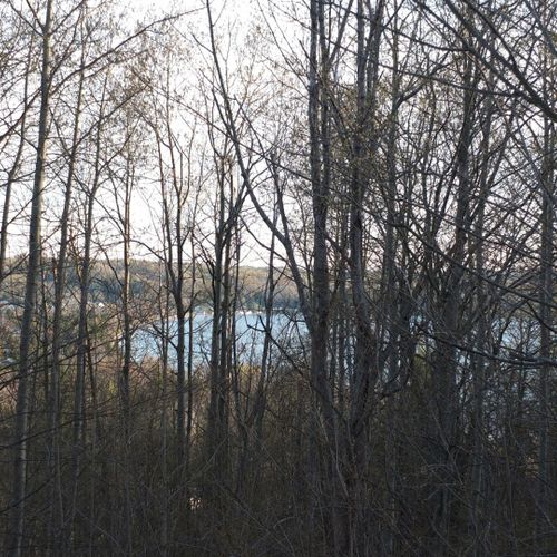 Exterior:  deck:  a nice view of the eastern end of crystal lake looking through the trees from the deck
