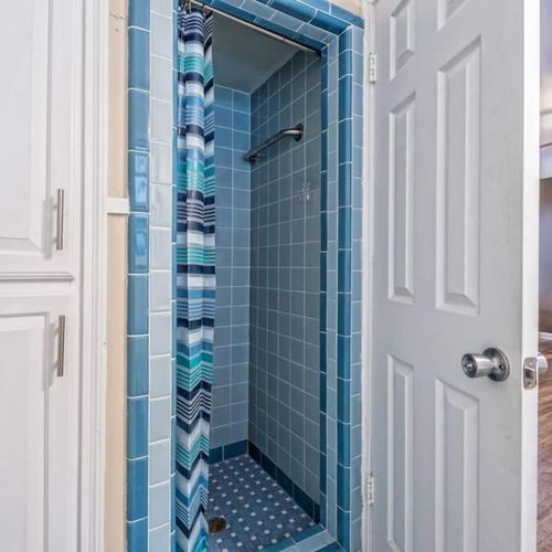 Master Bathroom Shower