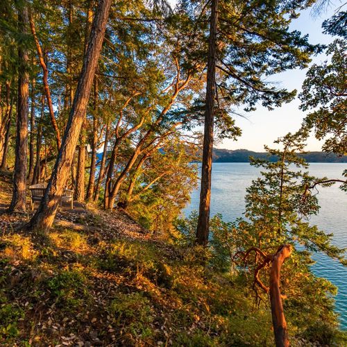 25f58ec3 b97a 4623 9bfc cec96b6cbe26 homerunner