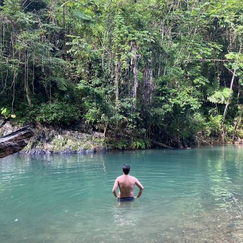 Find your serenity in the heart of the rainforest. This tranquil natural pool offers a refreshing dip amidst stunning, untouched wilderness.