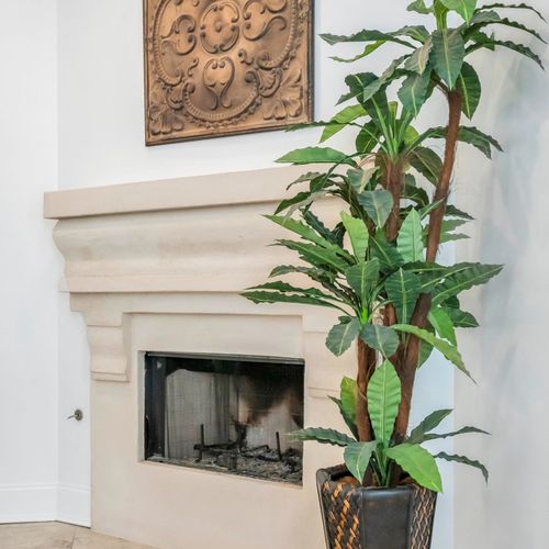 Fireplace and Decor