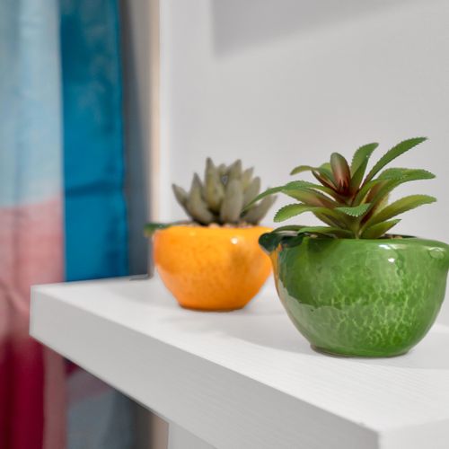Vibrant orange & green succulent pots add a playful, nature-inspired pop of color.