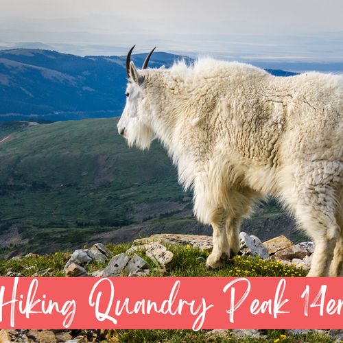 World class hiking 28 minutes away