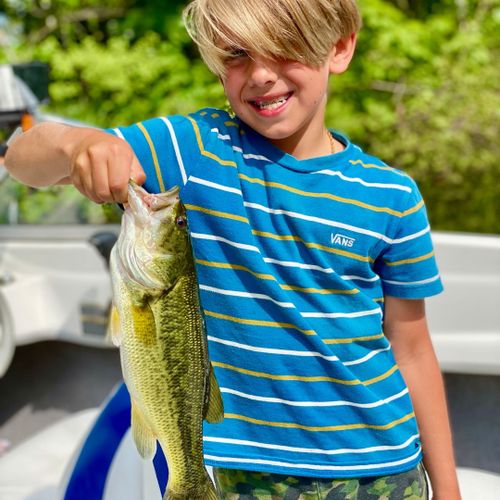 Area attractions:  fishing on manistee lake