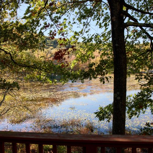 Overlooking the lake from your private peninsula.