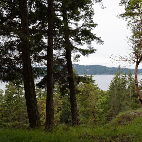 Private yard for outdoor games