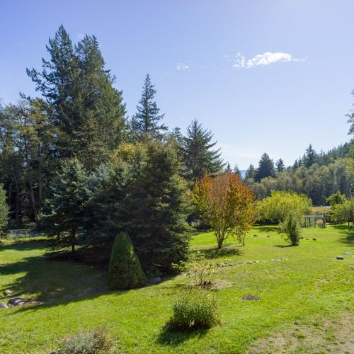 Mature trees planted by the owner many years ago.
