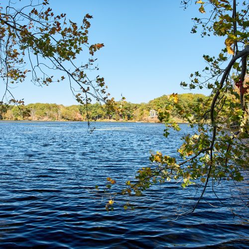 Overlooking the lake from your private peninsula.