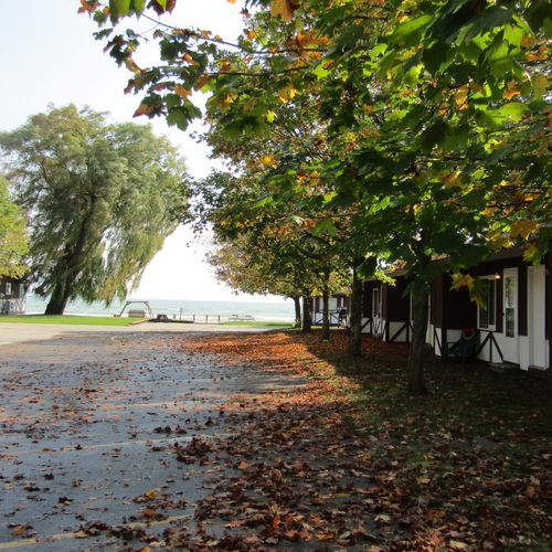 Exterior:  the grounds at the property.