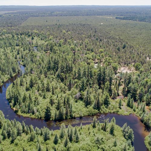Overall:  goose creek near the lodge. (the lodge is mostly hidden by the trees. )